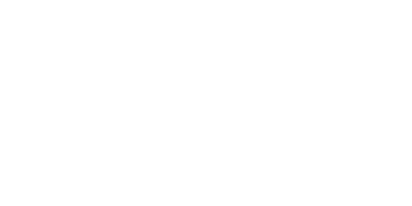 state icon