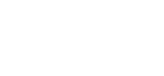 state icon