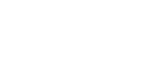 state icon