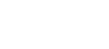 state icon