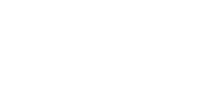 state icon