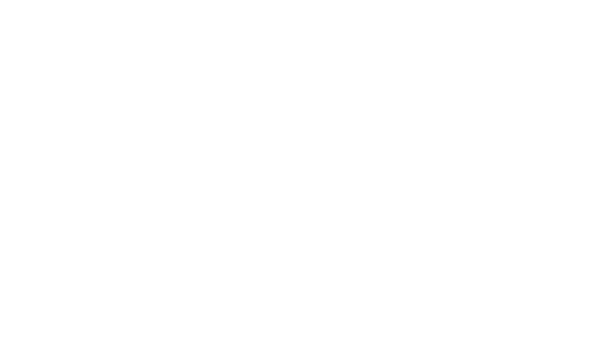 state icon